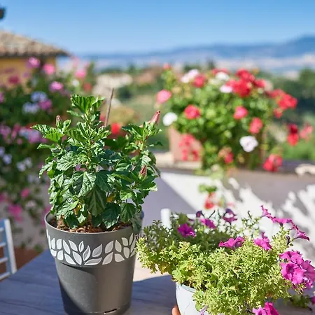 アパート Casetta Bea *